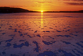 Setting sun, windswept snow and fresh ice on Kelly Lake in early winter. Sudbury. Ontario, Canada