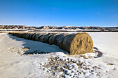 Snow covered line of hay bales in Qu Appelle River Valley. Saskatchewan, Canada