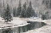 Snow squall along Junction Creek. Lively, Ontario, Canada 