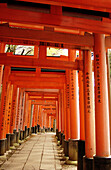 Torii gates. Fushimi Inari Taisha Shinto shrine. Kyoto. Japan.