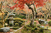 Enkoji temple in autumn. Kyoto, Japan.