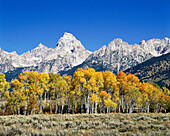 Grand Teton National Park. Wyoming. USA