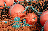Fishing net with orange buoys. Charleston boat basin. Oregon. USA