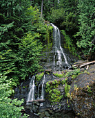 Twin Falls Creek, Mount Rainier National Park, Washington, USA