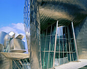 Guggenheim Museum. Bilbao. Biscay. Spain