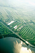 Aerial view of Holland