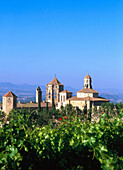 Vineyards, Poblet monastery. Tarragona province. Spain