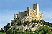 Medieval castle. Almansa. Castilla la Mancha. Albacete. Spain.