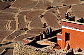 Trekkers at Monastery in Gelling. Mustang. Nepal