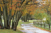 Path in rain. Kitsilano, Vancouver. British Columbia, Canada