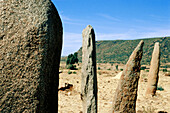 Gudit stelae field. Aksum. Ethiopia.