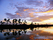 Sunset at Everglades National Park. Florida. USA