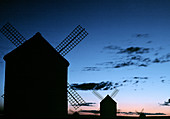 Windmills of La Mancha. Campo de Criptana (Ciudad Real) Spain