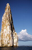 Sleeping Sea Lion Rock. Galapagos Islands. Ecuador.