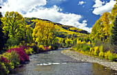 Fall foliage and the Dolores River Colorado, USA.