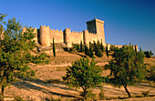 Castle. Peñaranda de Duero. Burgos province. Spain