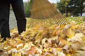 Autumn, rake, leaves