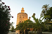 Torre del oro. Sevilla. Andalucia. Spain