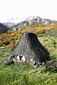 Teito (typical dwelling). Somiedo Natural Park. Asturias. Spain