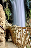 Piedra River, Monasterio de Piedra. Zaragoza province, Spain