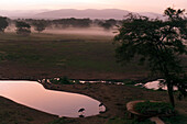 Marabou storks at waterhole in the evening, Sarova Salt Lick Lodge, Taita Hills Game Reserve, Coast, Kenya