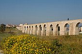 osmanische Aqueduct mit Blumenwiese, Fruehling, Larnaka, Südzypern, Zypern