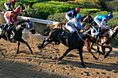 Jockeys riding race horses at a horse race, Nicosia, Lefkosia, South Cyprus, Cyprus