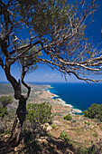 Hiking tour to Moutis tis Sotiras, 370m, Aphrodite trail, Jalos Activ Tour, Akamas Nature Reserve Park, South Cyprus, Cyprus