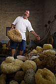 Andenkenladen, Mann hält Schwamm, Old Port Sea Sponges Exhibition Center, Lemesos, Limassol, Südzypern, Zypern