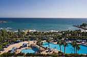 Pool mit Palmen, Hotel Hawai, Lemesos, Limassol, Südzypern, Zypern