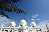 Die Große Moschee, Sheikh Zayed Moschee, Abu Dhabi, Vereinigte Arabische Emirate, VAE