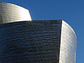 Guggenheim Museum, Bilbao. Euskadi, Spain