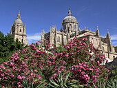 Cathedrals, seen from Huerto de Calixto y Melibea. Salamanca. Spain