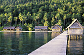 Wooden jetty leads to houses on wooden stilts, diving resort of Irian Diving . Rajat Ampat. Papua, Indonesia
