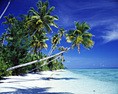Tropical beach. Archipelago of Raja Ampat. Papua, Indonesia