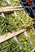 Fresh peppers and chillies at farmers market