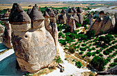 Fairy chimneys. Cappadocia. Zelve Open Air Museum. Turkey