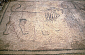 Mosaic at Es Fornàs Early Christian basilica. Torrelló, Maó. Minorca, Balearic Islands. Spain