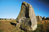 Megalithische Steine. Kermario, Carnac. Bretagne. Frankreich