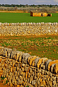 Mauer und Hütte. In der Nähe von Santanyi. Migjorn. Mallorca. Balearen. Spanien