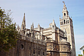 Cathedral and Giralda tower. Seville. Spain