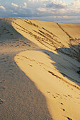 Sand dune. Punta Paloma Beach. Tarifa. Cadiz province. Andalusia. Spain