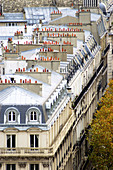 Rooftops and fall colors. Paris. France