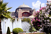 Hagia Sofia, fountain, palm trees and flowers. Istanbul. Turkey