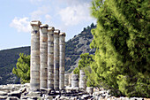 Remaining columns of the Ionian Temple of Athena. Priene. Turkey