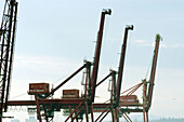 Loading cranes at the port. Vancouver. British Columbia. Canada