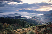 Goerri Valley. Guipuzcoa. Basque Country. Spain