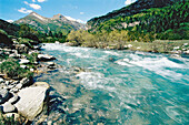 Ara river, Bujaruelo valley. Huesca province, Spain