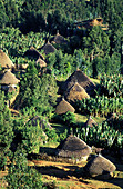 Gurage ethnic group village. Hosana, Shewa region, Ethiopia