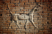 Lion. South Palace. Archeological site of Babylon. Irak